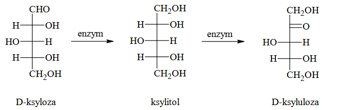 ksylitol utworzy przez drożdże