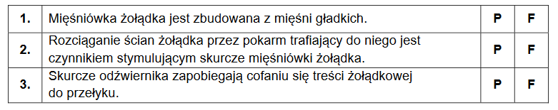 żołądek człowieka – budowa i funkcja