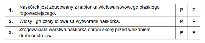 naskórek – zewnętrzna warstwa skóry człowieka