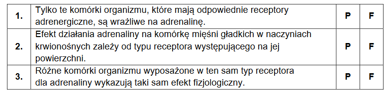 Adrenalina – hormon mobilizujący organizm do działania w warunkach stresu