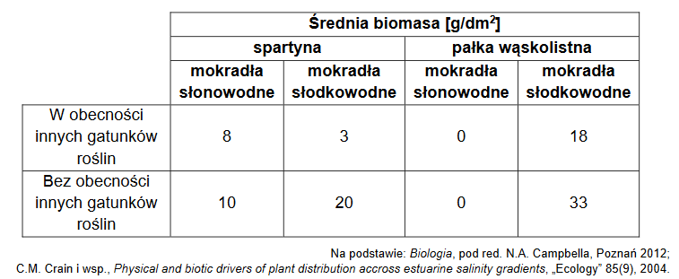 trawa spartyna (Spartina patens) – dominujący gatunek na mokradłach słonowodnych