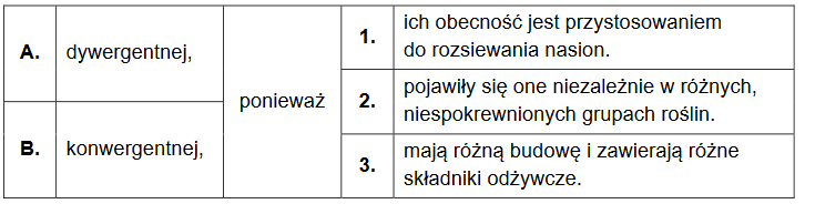 Mrówki – siewcy nasion roślin