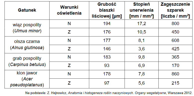 Rozmiary i zagęszczenie szparek w skórce liścia w zależności od warunków oświetlenia