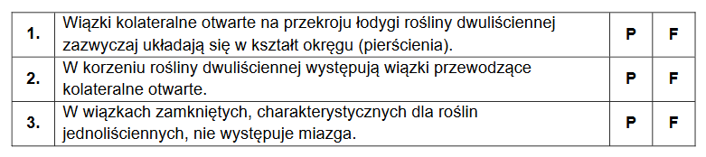 łodyga rośliny dwuliściennej – obecność wiązki przewodzącej kolateralnej otwartej