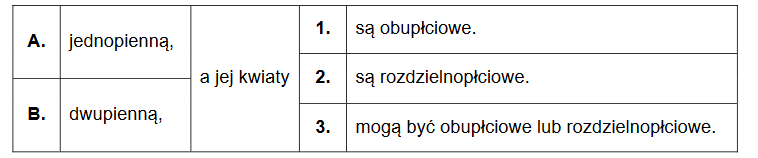 Kolczurka klapowana – jednoroczne pnącze z rodziny dyniowatych