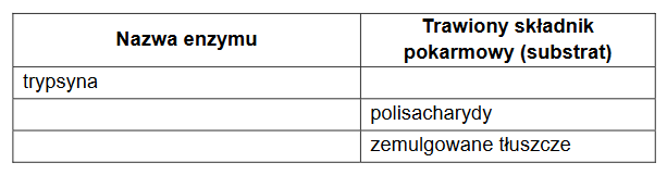 Trzustka i jej funkcja wydzielania wewnętrznego oraz zewnętrznego