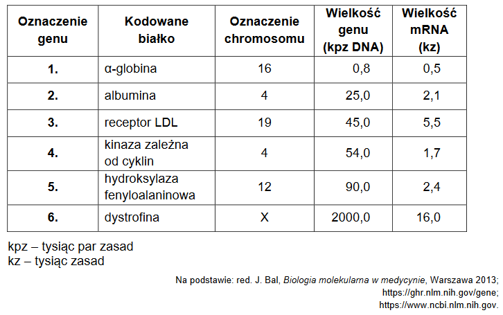 wybrane geny człowieka kodujące określone białka