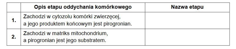 gradient protonowy – motor do syntezy ATP i transportu metabolitów