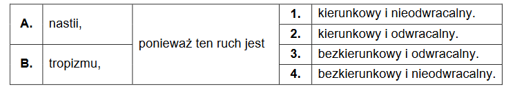 Wąs czepny męczennicy – przekształcony pęd boczny