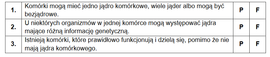 materiał genetyczny w postaci DNA zawarty w jądrze komórkowym