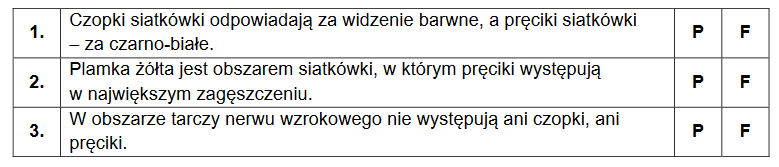 budowa ludzkiego oka