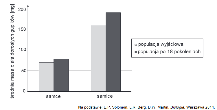 eksperyment na populacji ryb – gupików