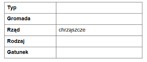 Pachnica dębowa – chrząszcz zasiedlający Puszczę Białowieską