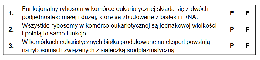 etapy translacji – funkcje rybosomów