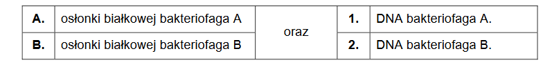 współczesna biotechnologia – tworzenie sztucznego bakteriofaga