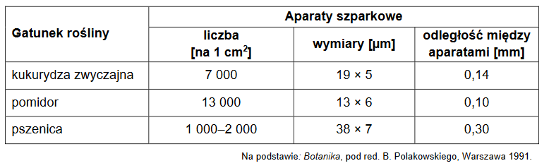 aparaty szparkowe – ich zagęszczenie i wielkość u różnych gatunków roślin