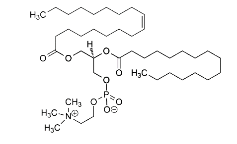 Lecytyna – związek amfipatyczny