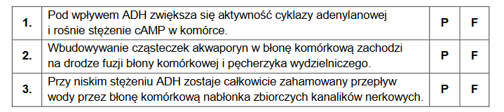 hormon antydiuretyczny ADH – wpływ na komórki nabłonka zbiorczych kanalików nerkowych