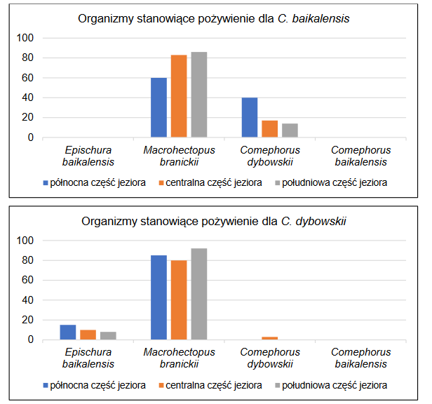 Bajkał – najstarsze jezioro świata z unikatową fauną głębinową