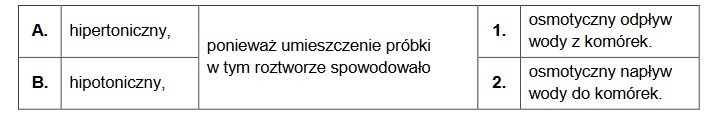 doświadczenie z bulwą batata oraz owocem dyni