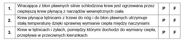 Ptaki – mechanizmy zapobiegające nadmiernej utracie ciepła