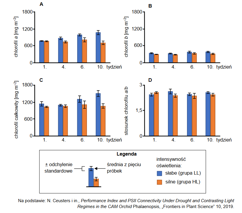 wpływ intensywności oświetlenia na zawartość chlorofilu w liściach