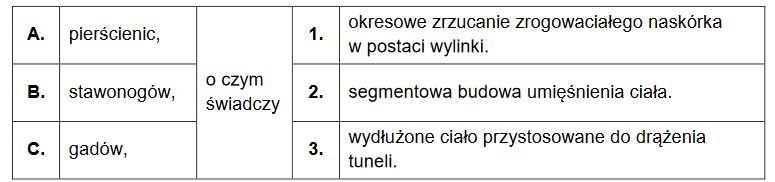 Amfisbeny – ewolucyjne zmiany w budowie czaszki