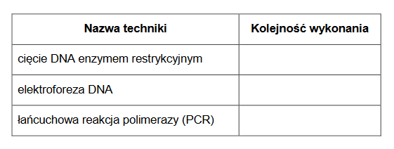 Cytrulinemia – choroba genetyczna