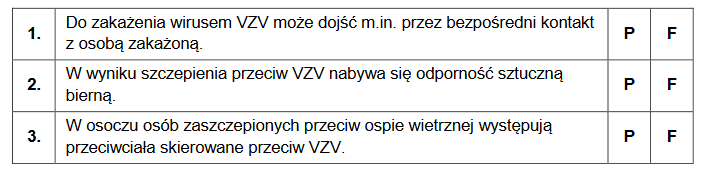 Wirus ospy wietrznej – VZV