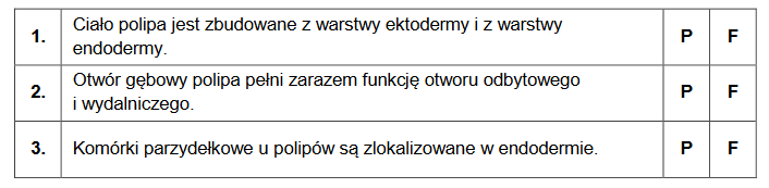 budowa polipa stułbi zielonej