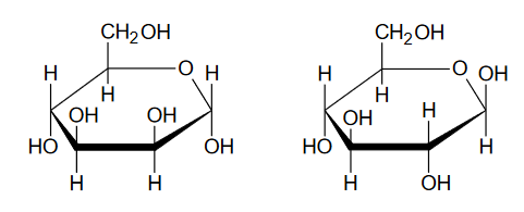budowa monosacharydów