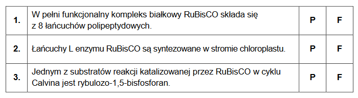 RuBisCO – enzym katalizujący pierwszy etap cyklu Calvina