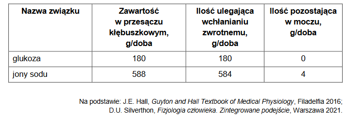 nefron – podstawowa jednostka funkcjonalno-strukturalna nerki