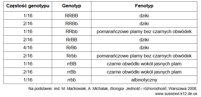 Wąż zbożowy (Elaphe guttata) i jego charakterystyczne ubarwienie