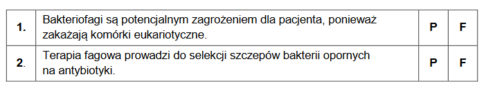 Terapia fagowa – eksperymentalna metoda leczenia chorób bakteryjnych