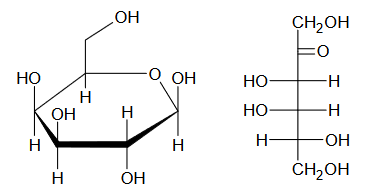 budowa monosacharydów