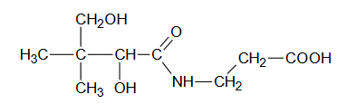 Kwas pantotenowy – skład witaminy B5