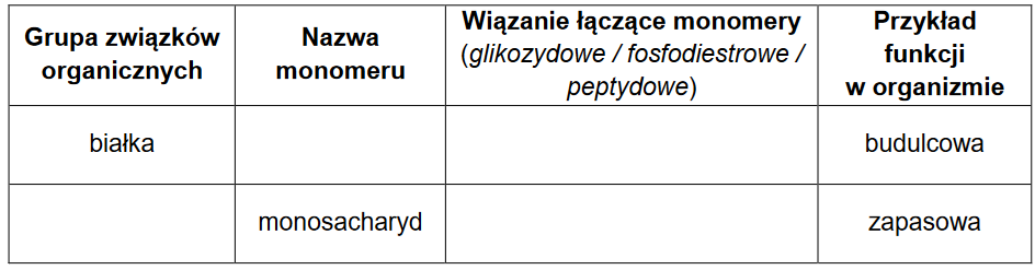wielkocząsteczkowe związki organiczne