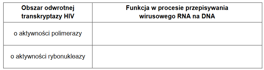 model strukturalny odwrotnej transkryptazy HIV