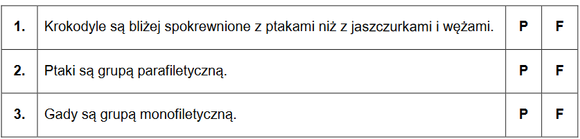 drzewo filogenetyczne kręgowców