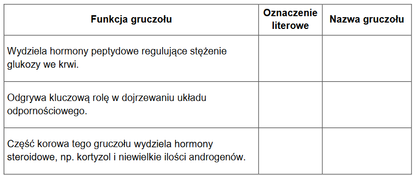 gruczoły układu dokrewnego człowieka