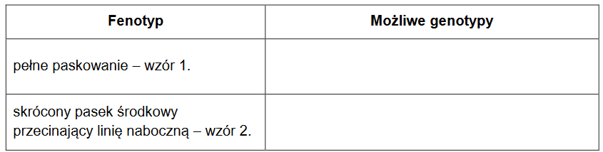 Puntigrus tetrazona – brzanka sumatrzańska