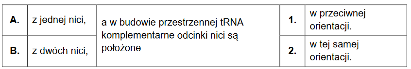 budowa przestrzenna cząsteczki tRNA
