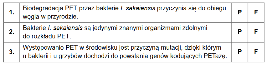 PET – wielkocząsteczkowy polimer