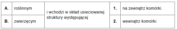 Doświadczenie z galaretką owocową